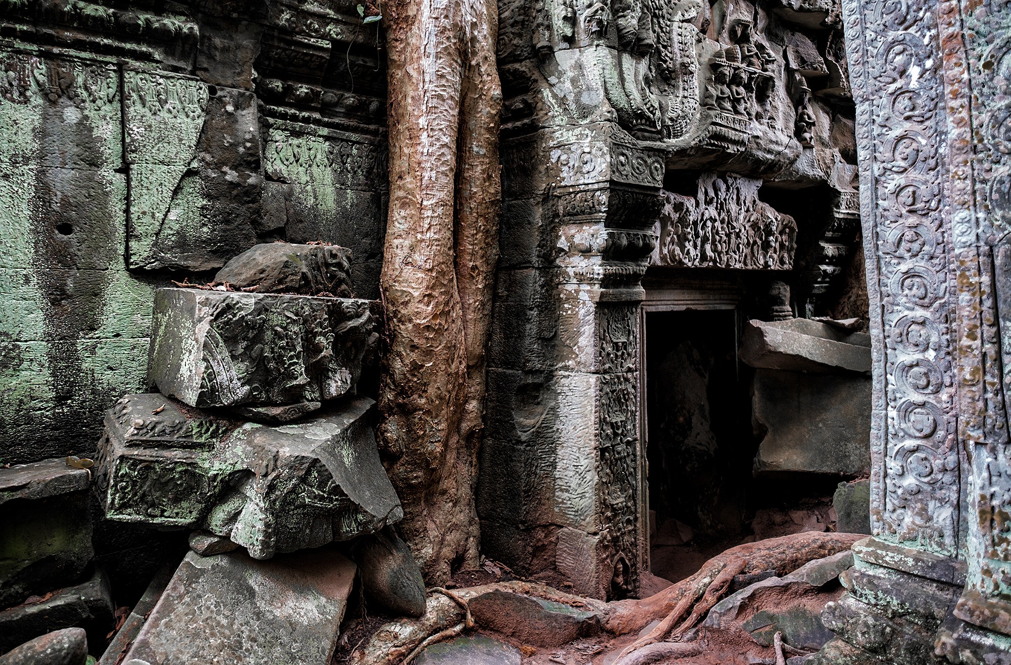 taprohm32b
