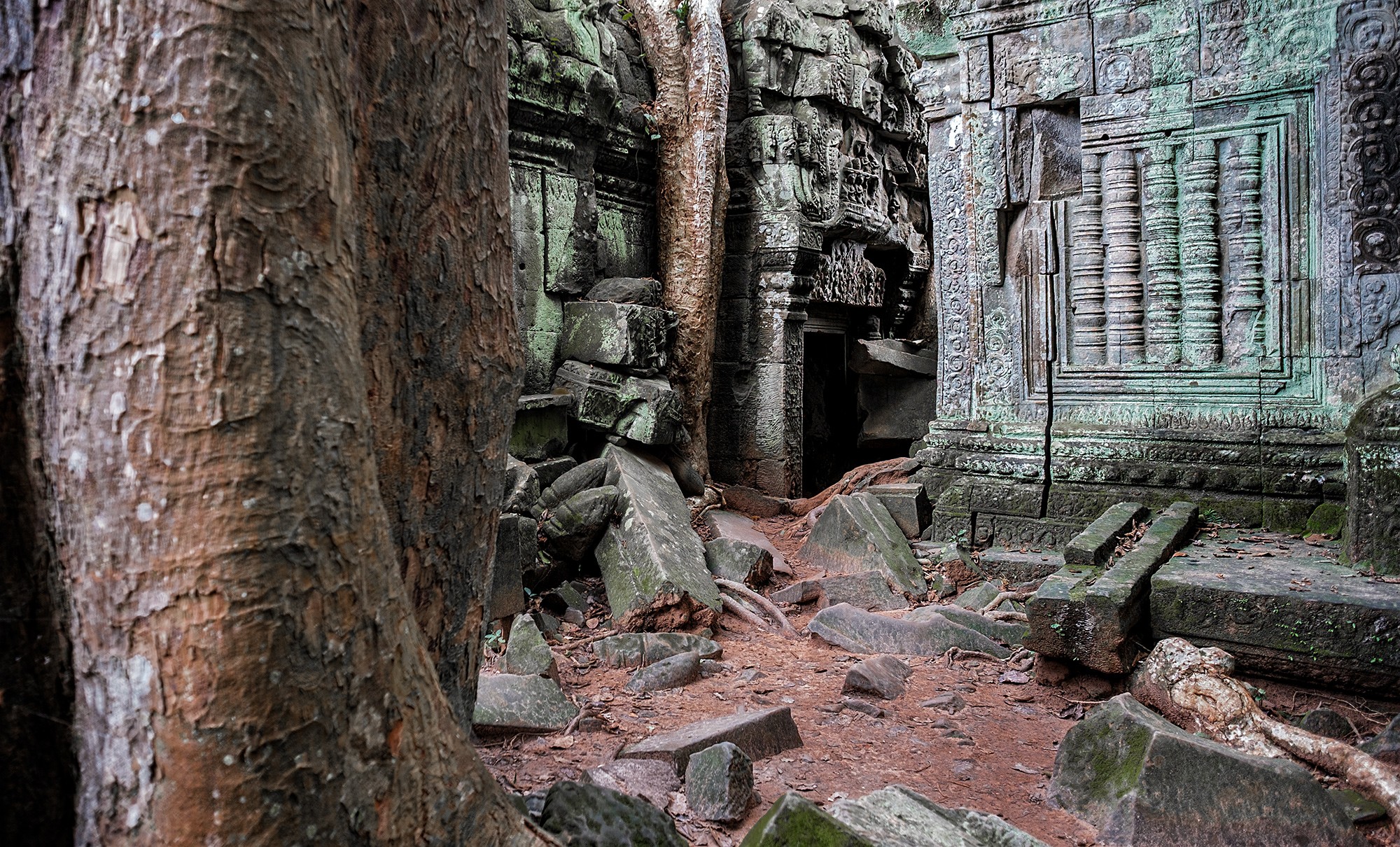 taprohm33b