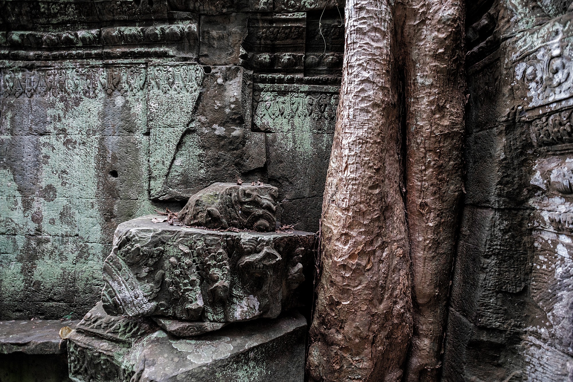 taprohm35b
