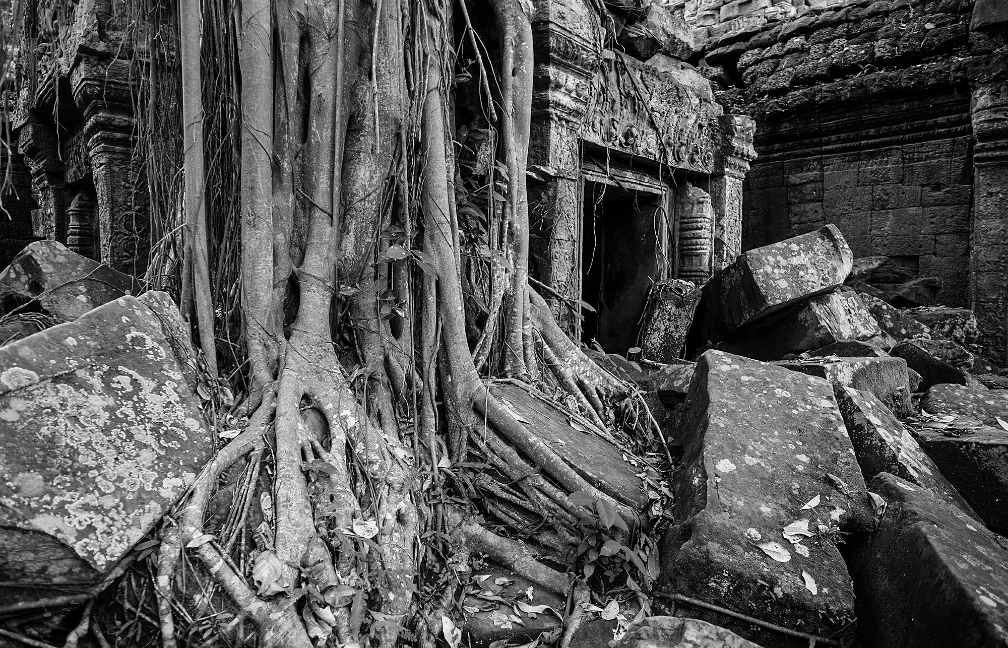 taprohm36b