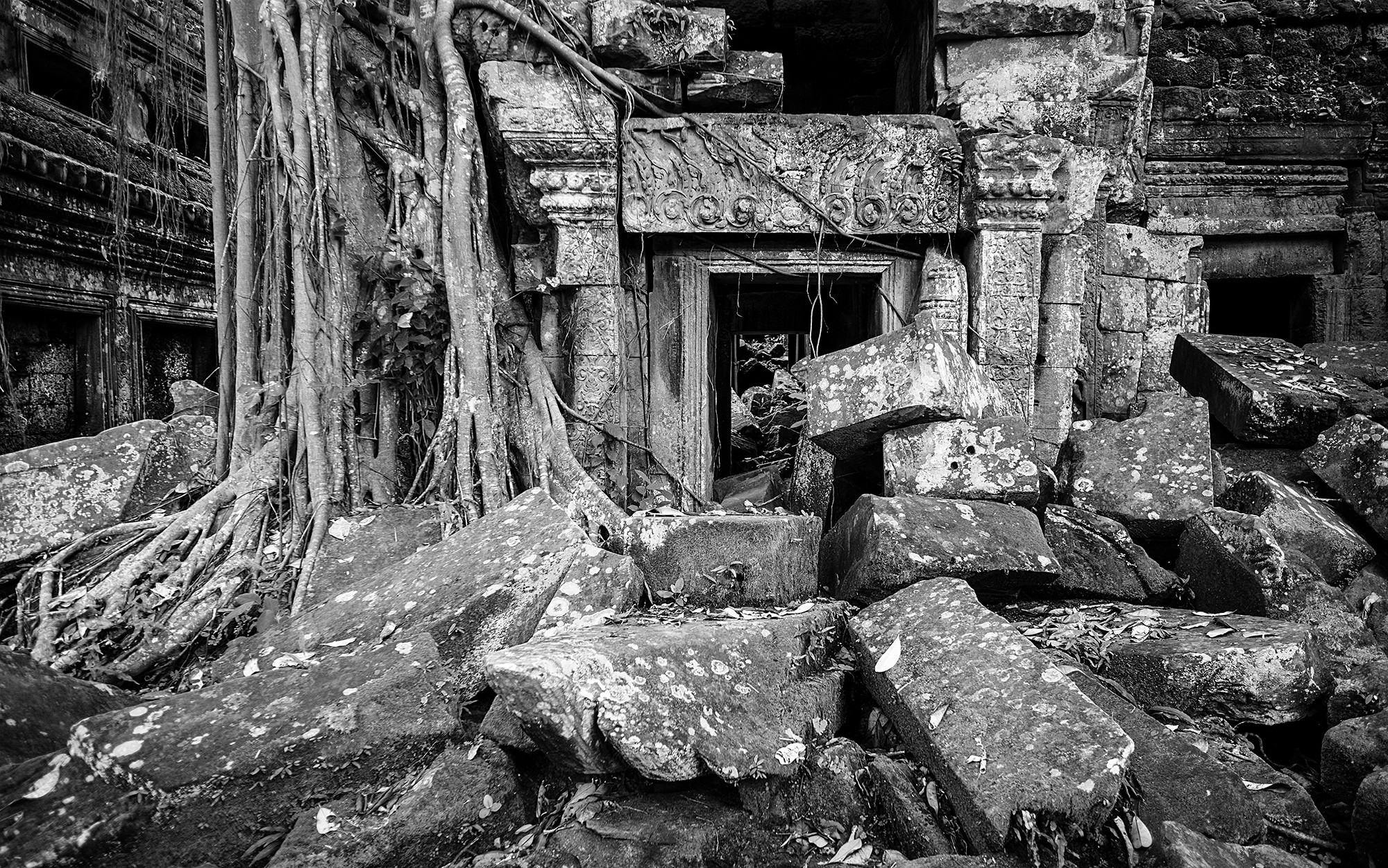 taprohm37b