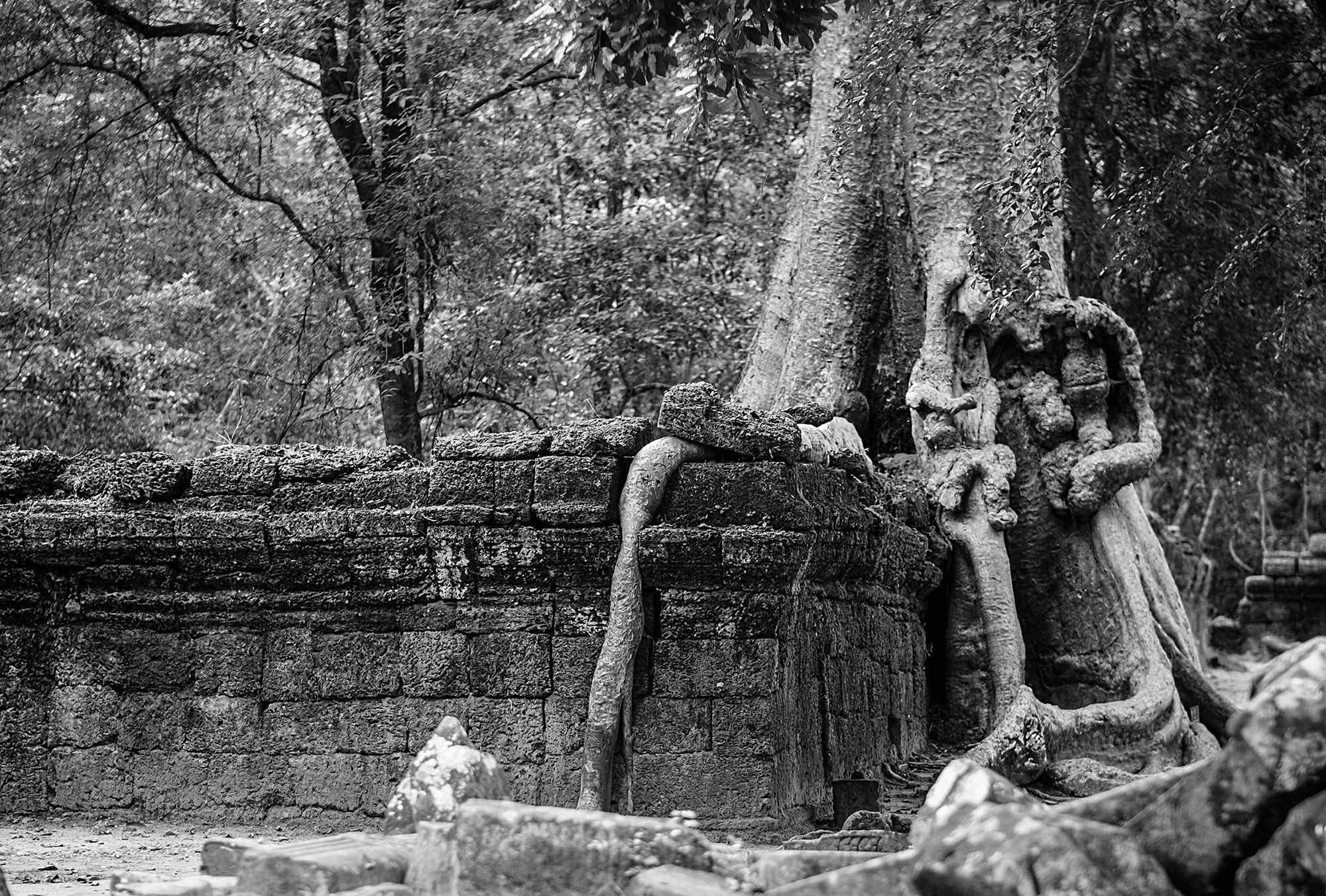 taprohm38b