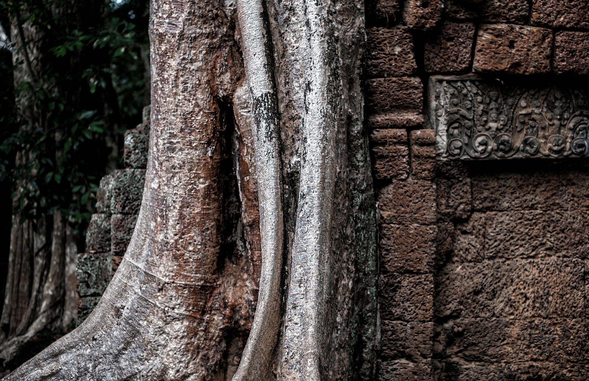 taprohm39b