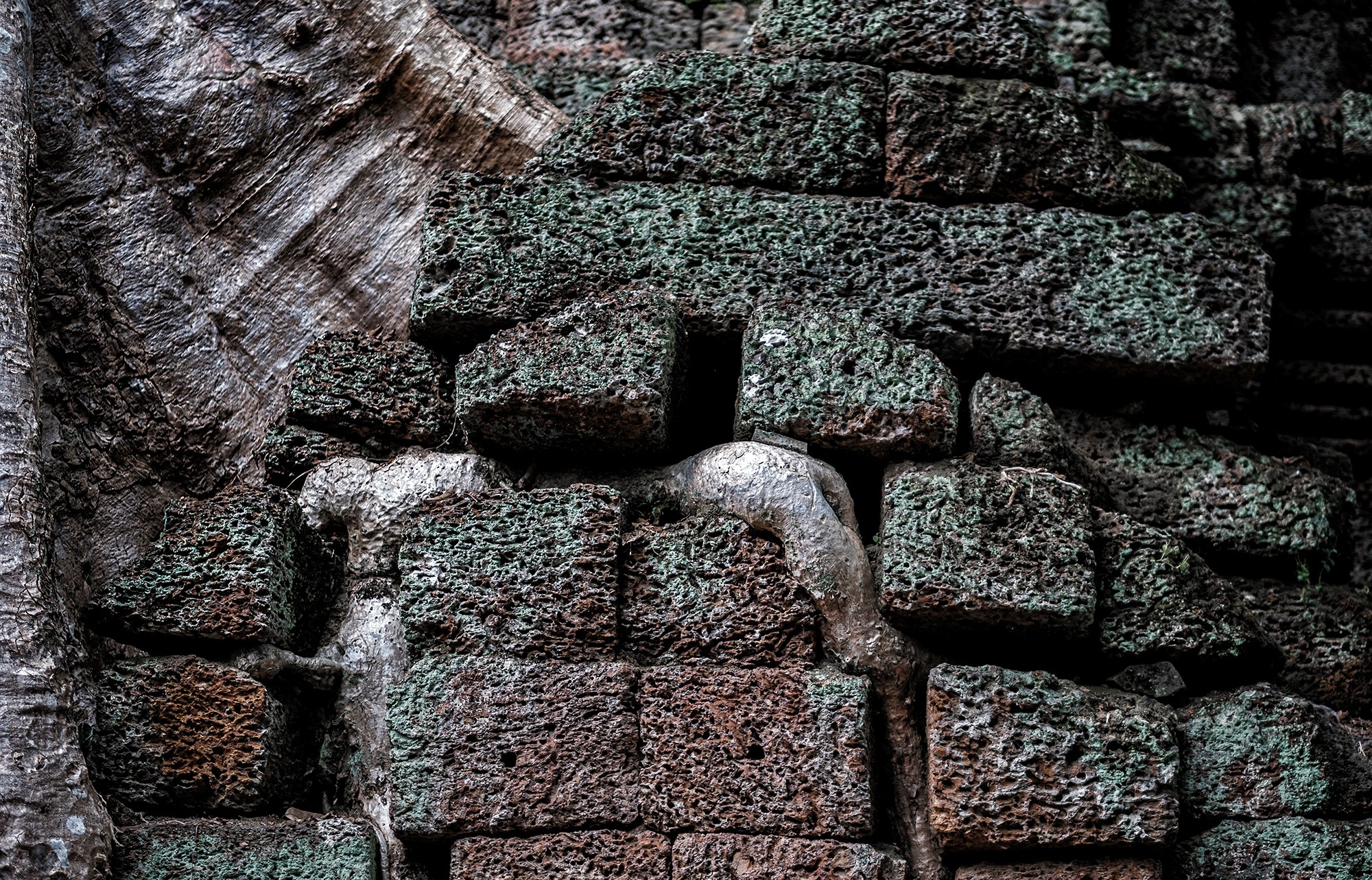 taprohm40b