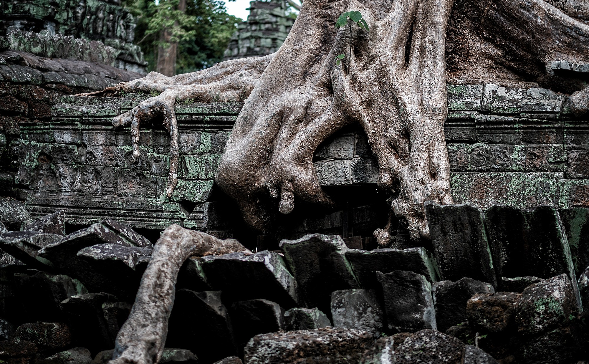 taprohm41b