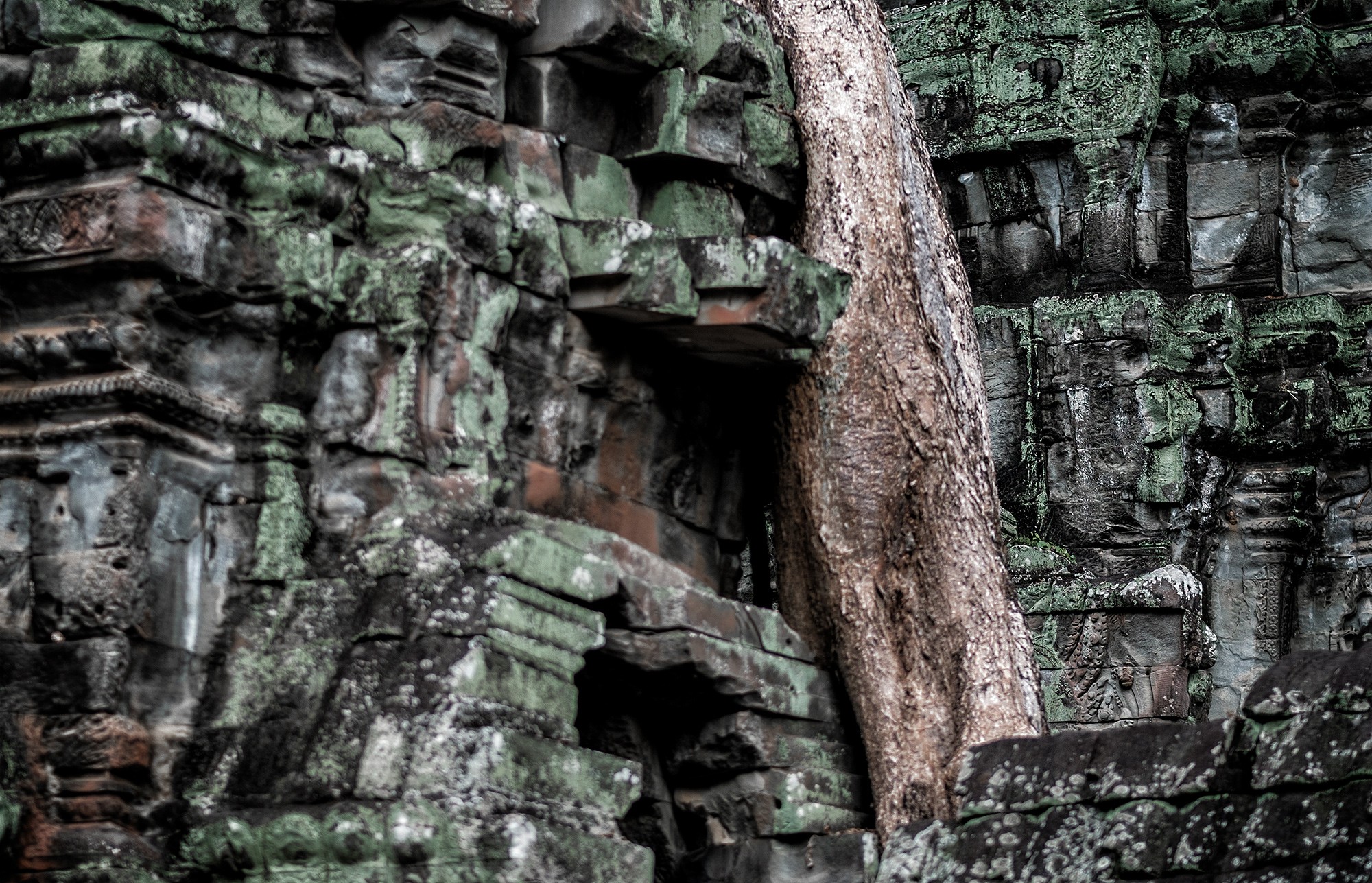 taprohm42b