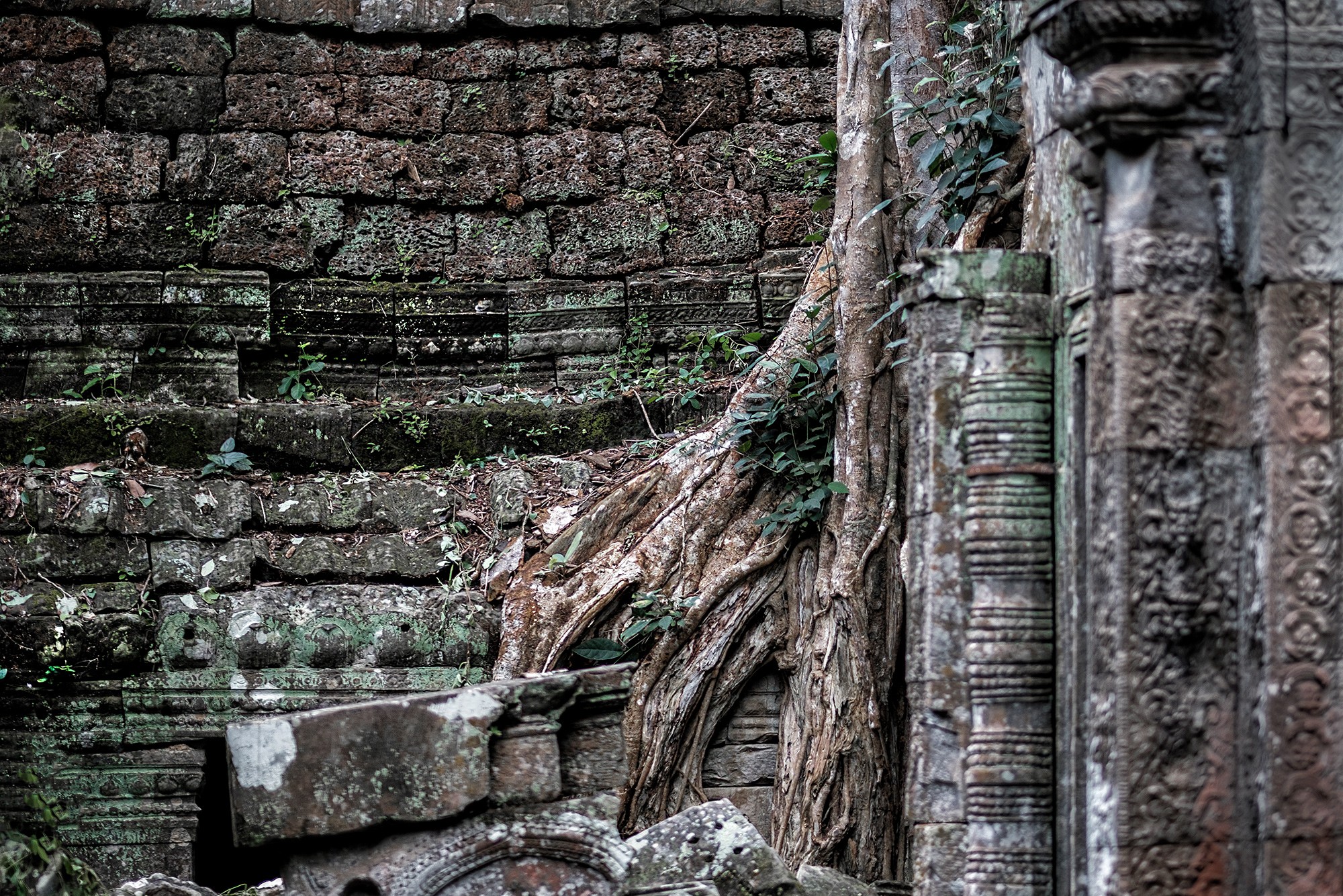taprohm43b