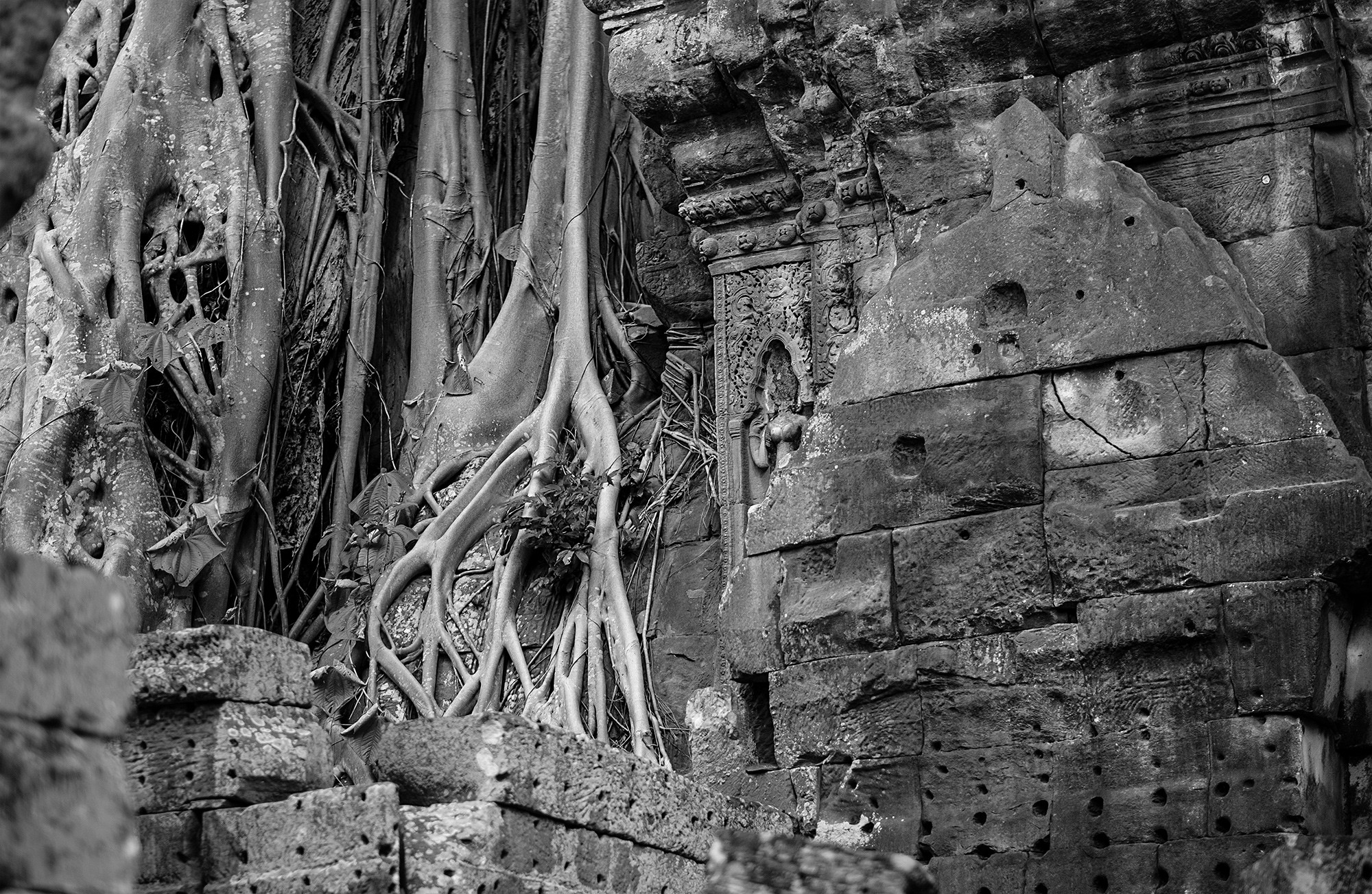 taprohm45b
