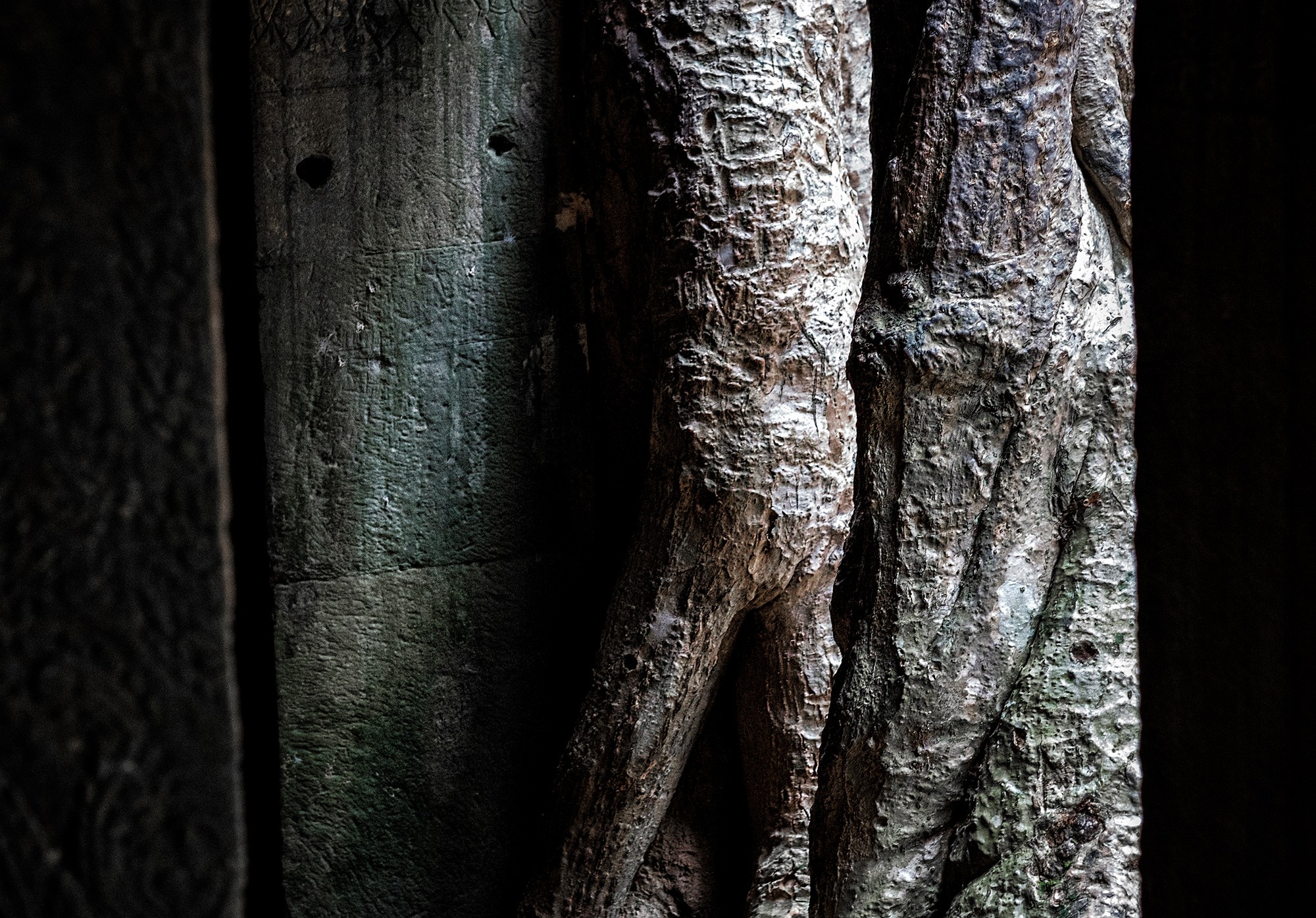taprohm46b