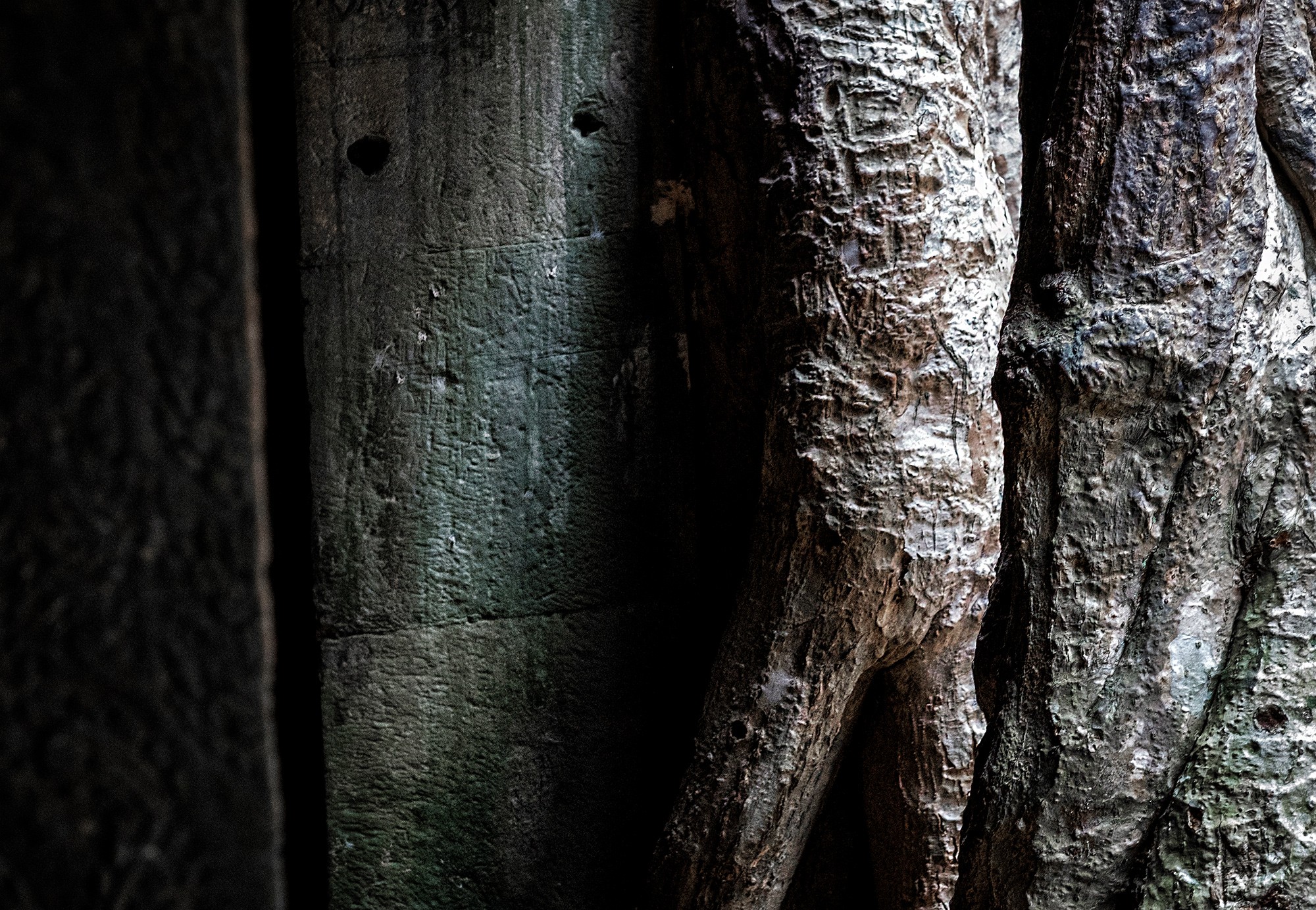 taprohm47b