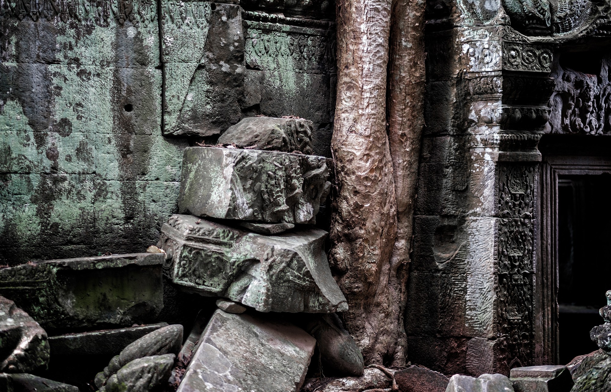 taprohm48b