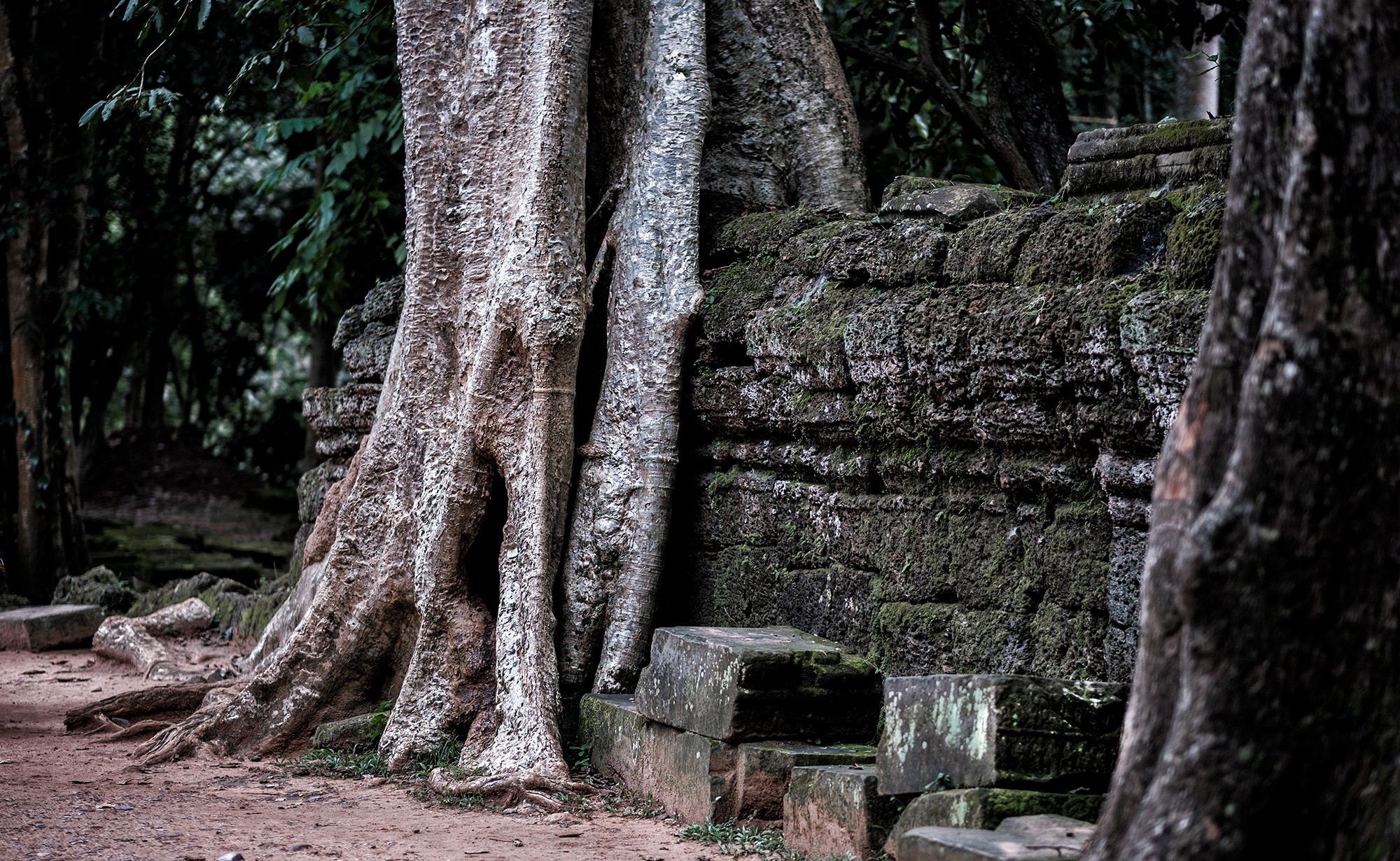 taprohm49b