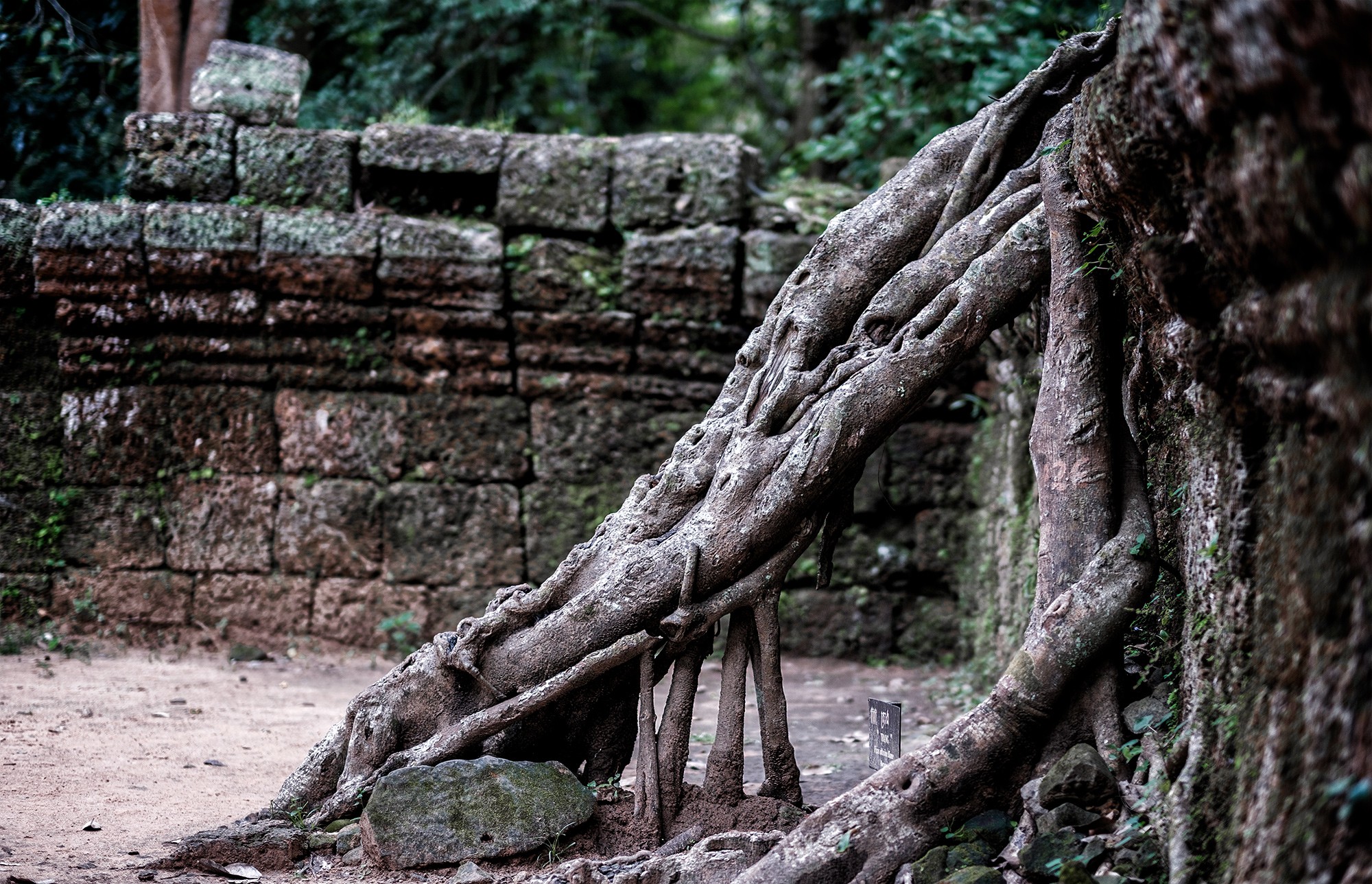 taprohm50b