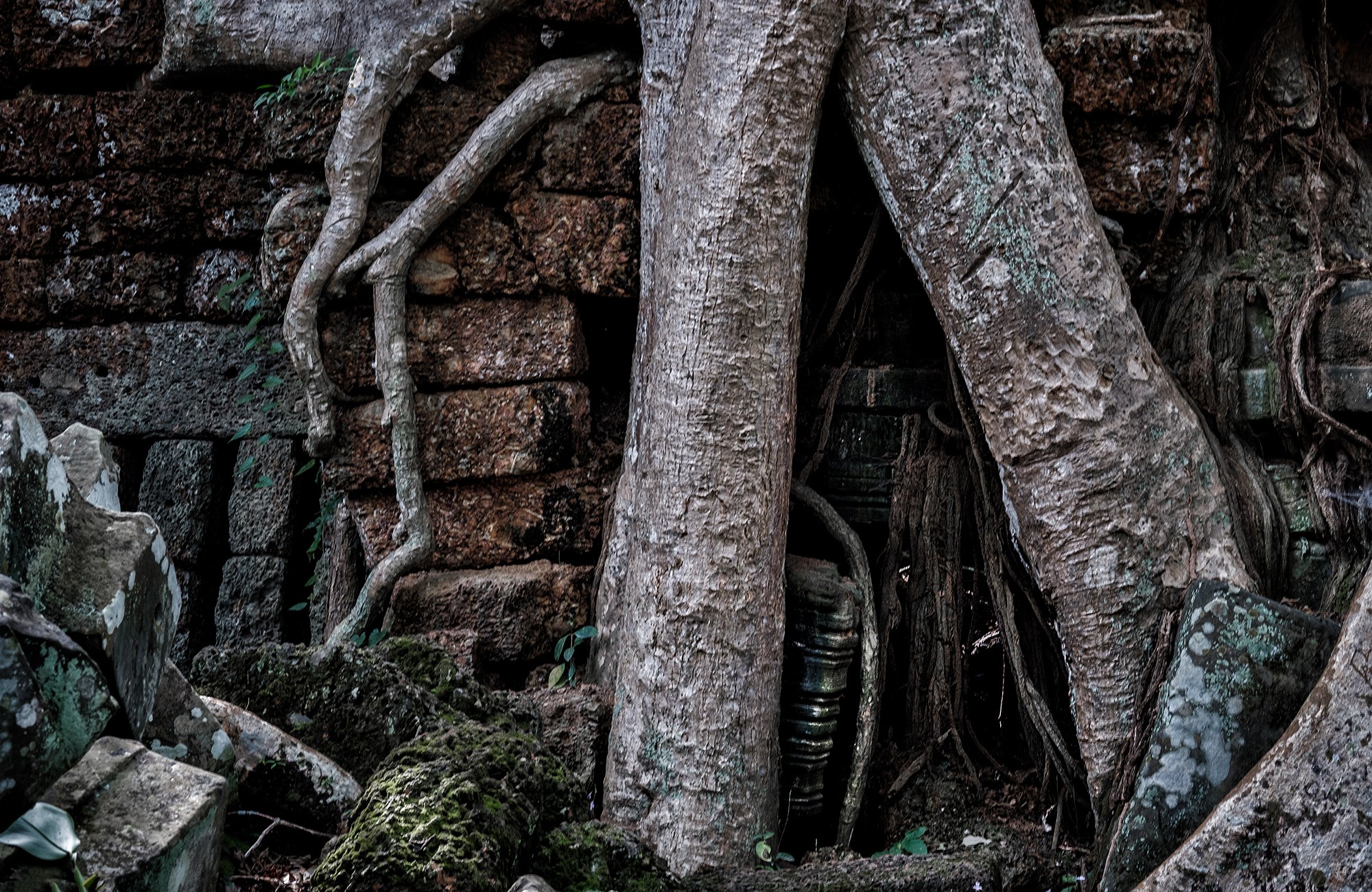 taprohm51b