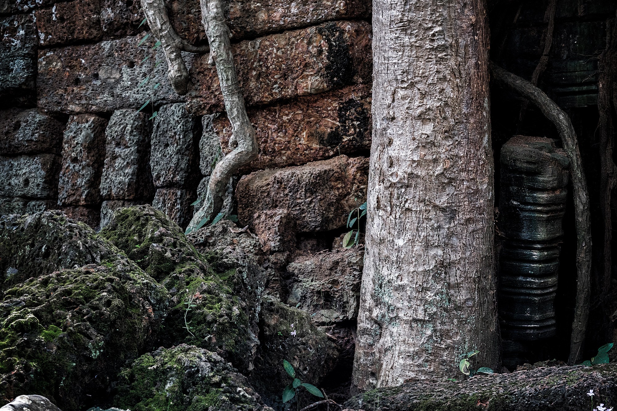 taprohm52b