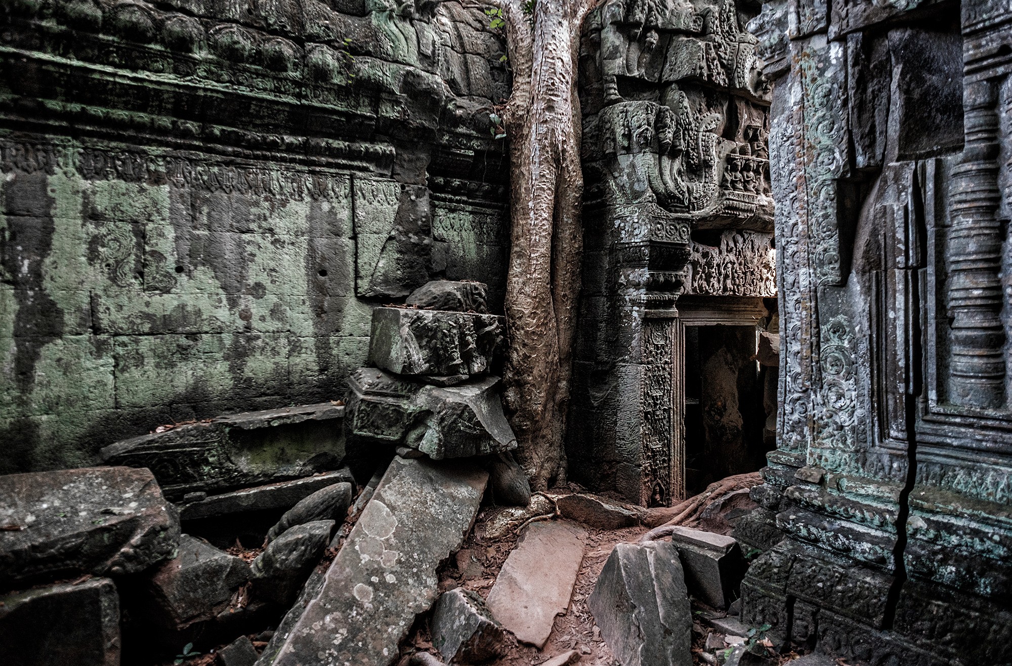 taprohm53b