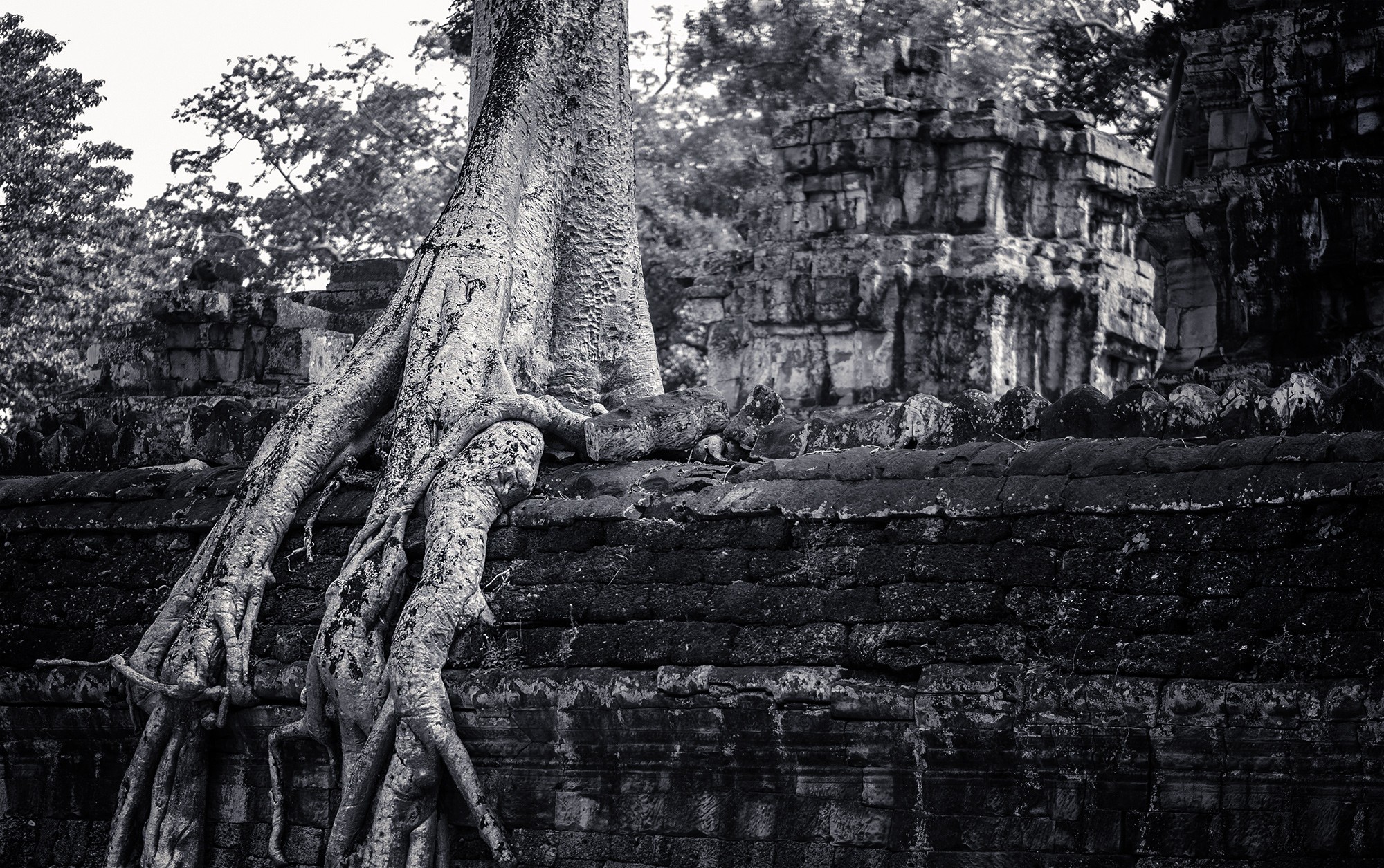 taprohm56b