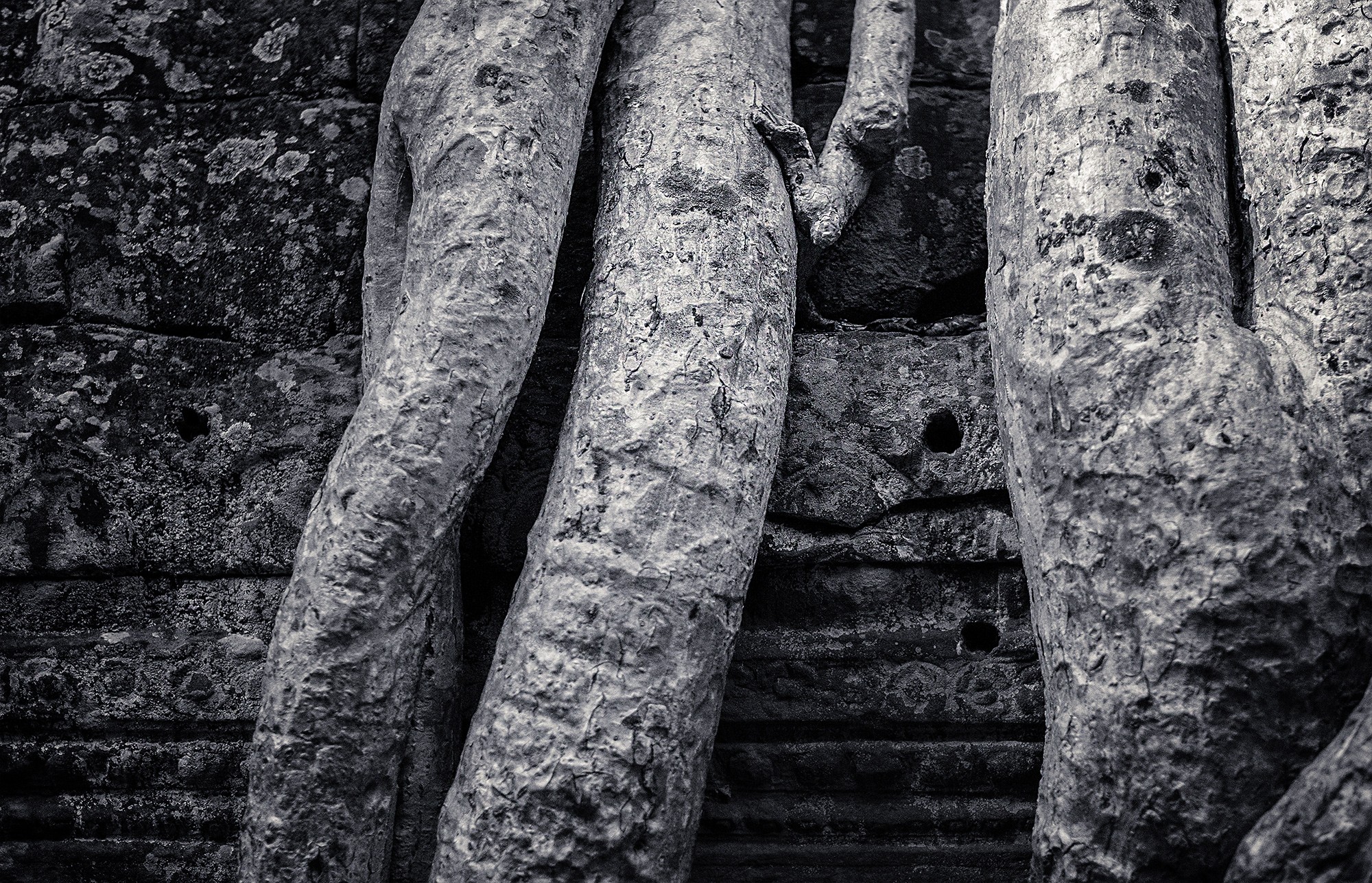 taprohm58b