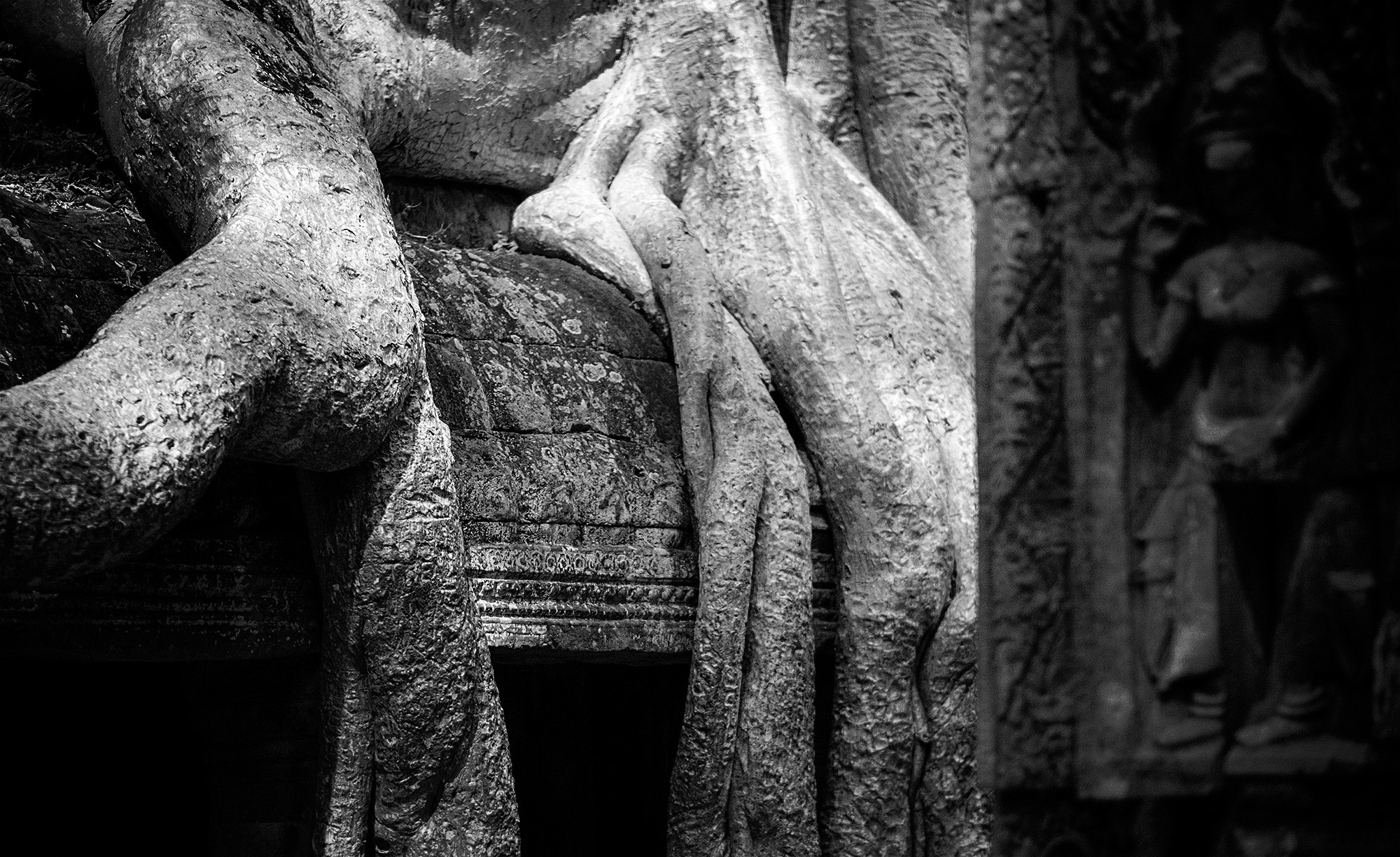 taprohm59b
