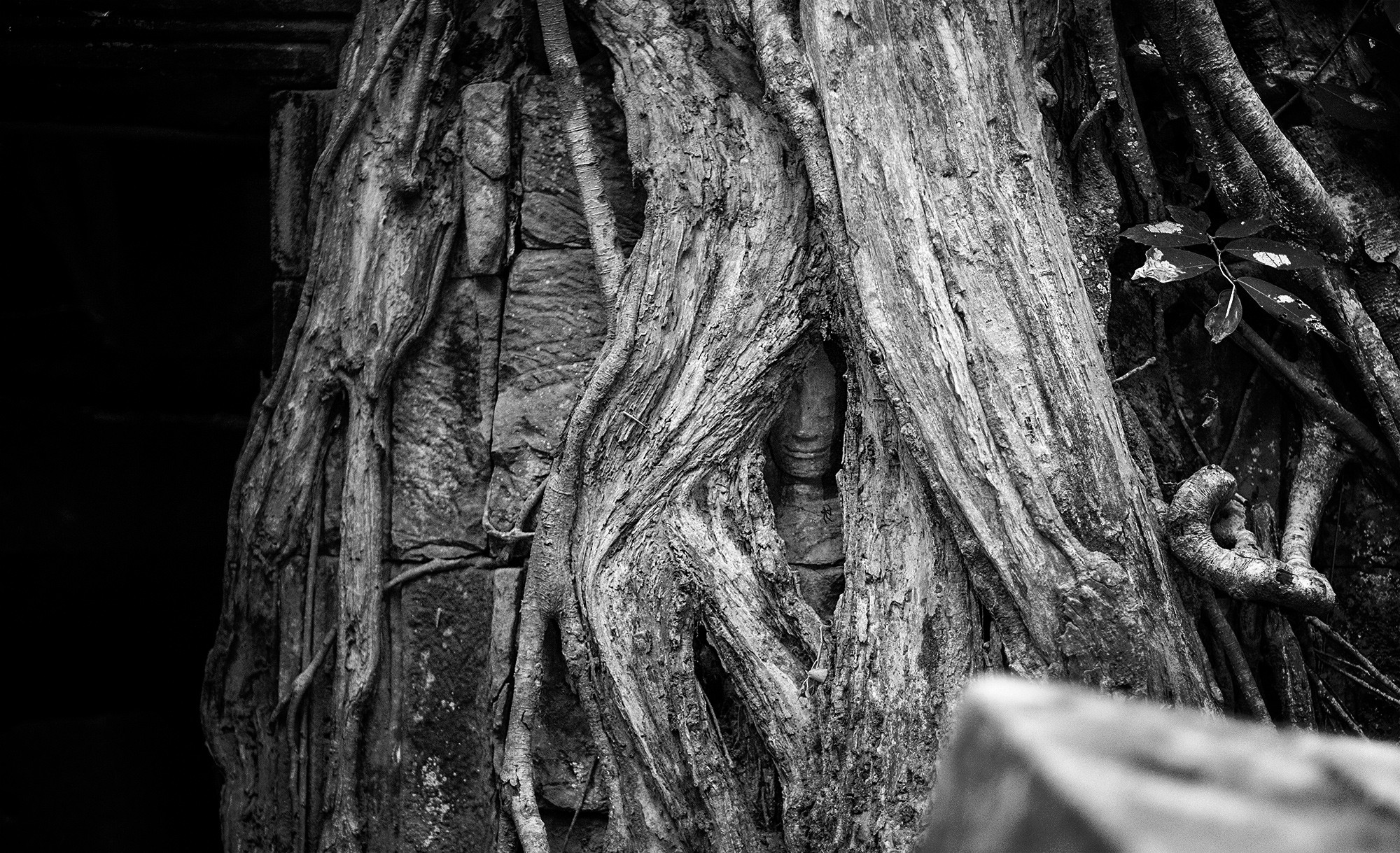 taprohm60b
