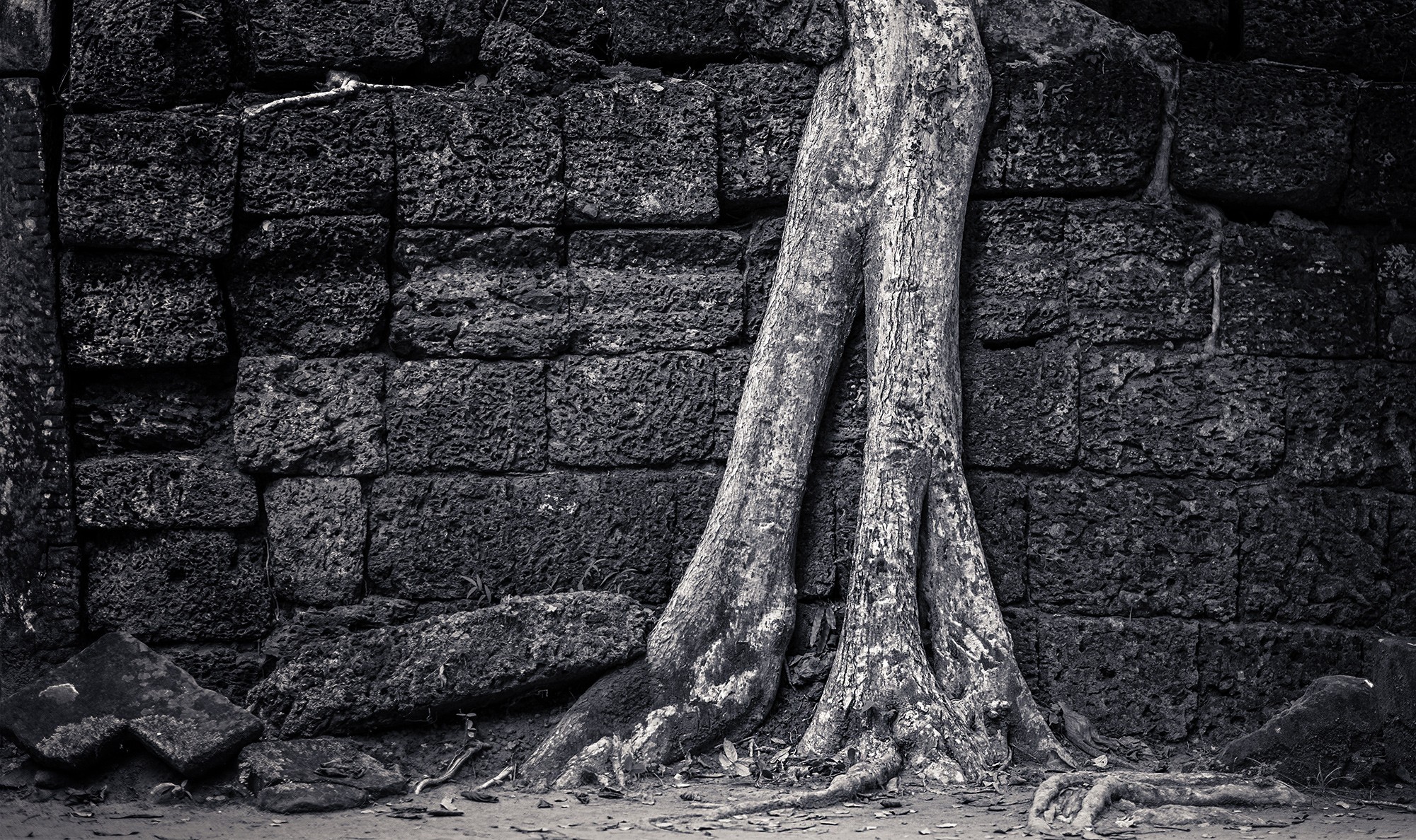 taprohm61b