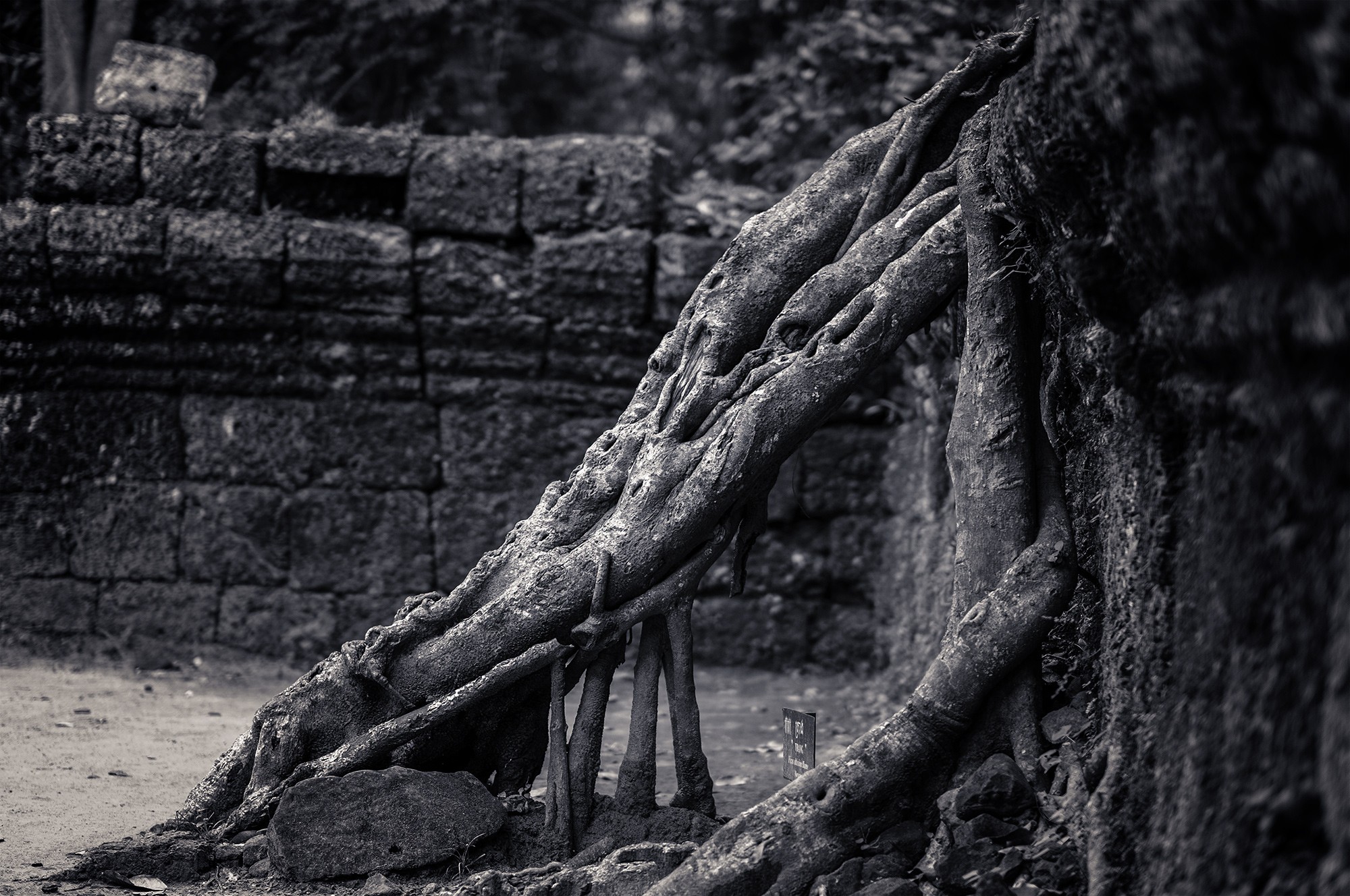 taprohm62b