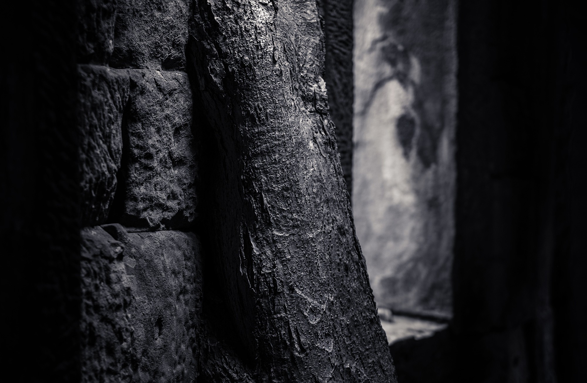 taprohm64b
