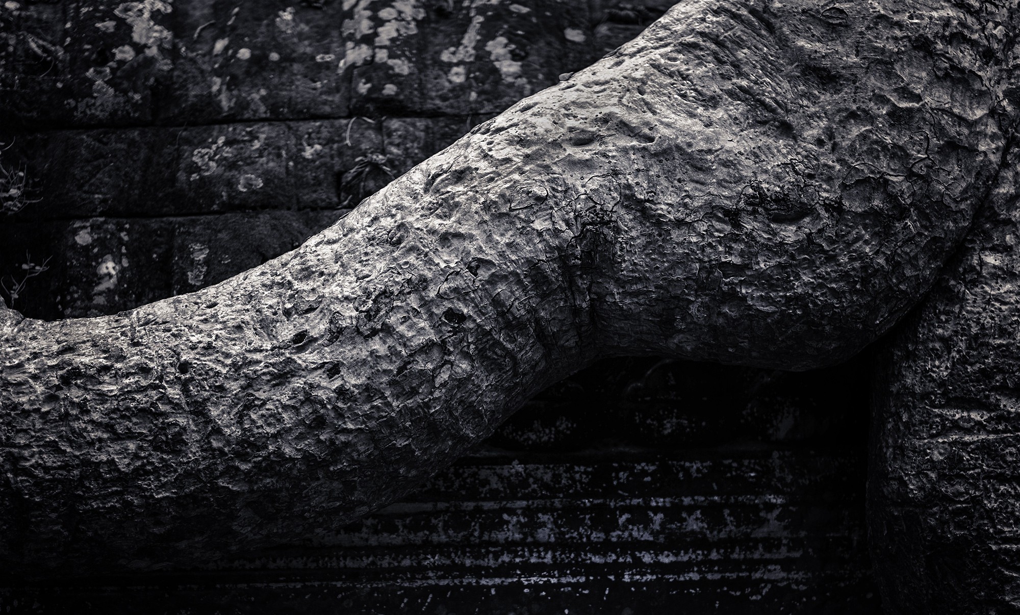 taprohm65b