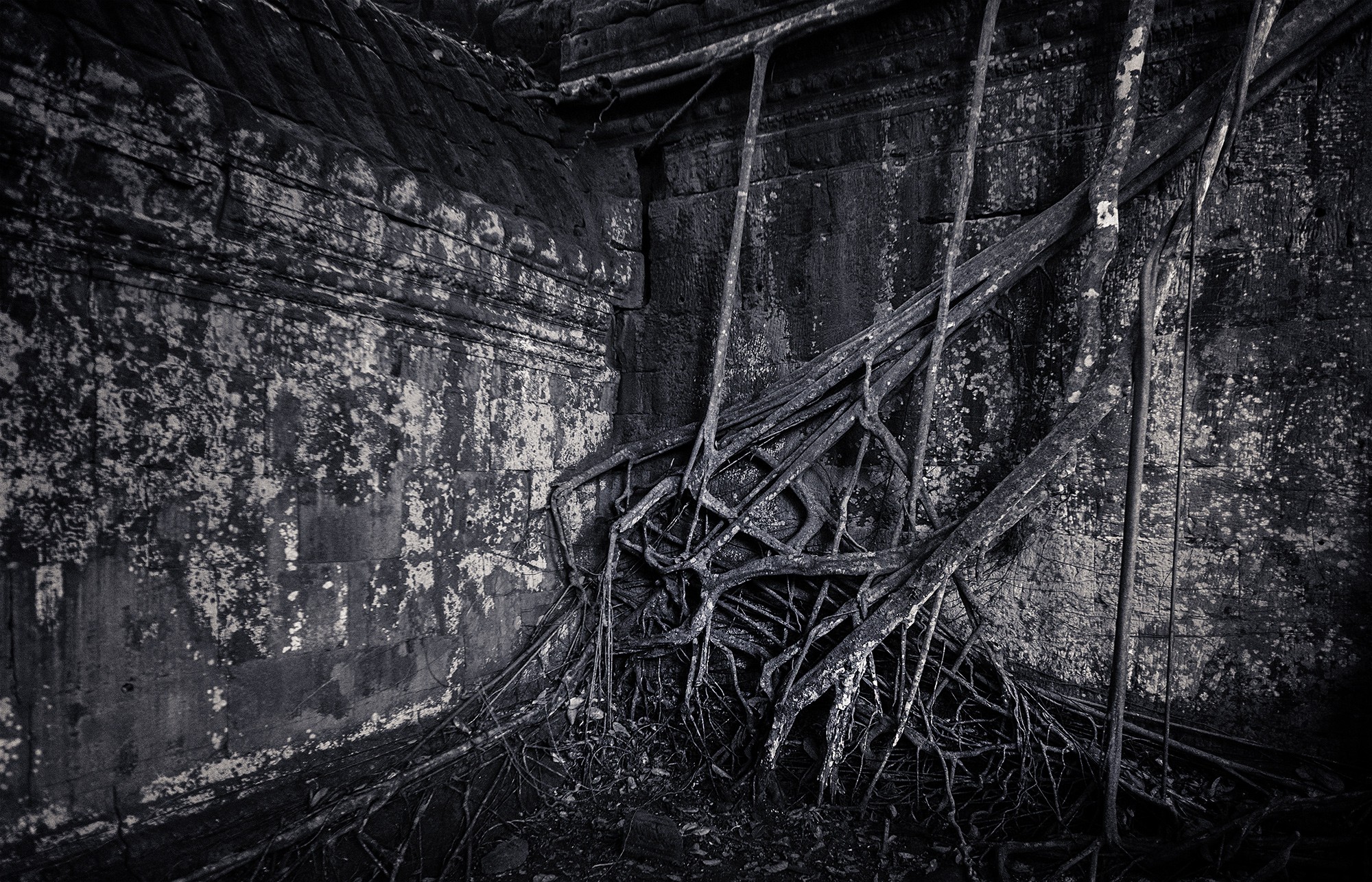 taprohm66b