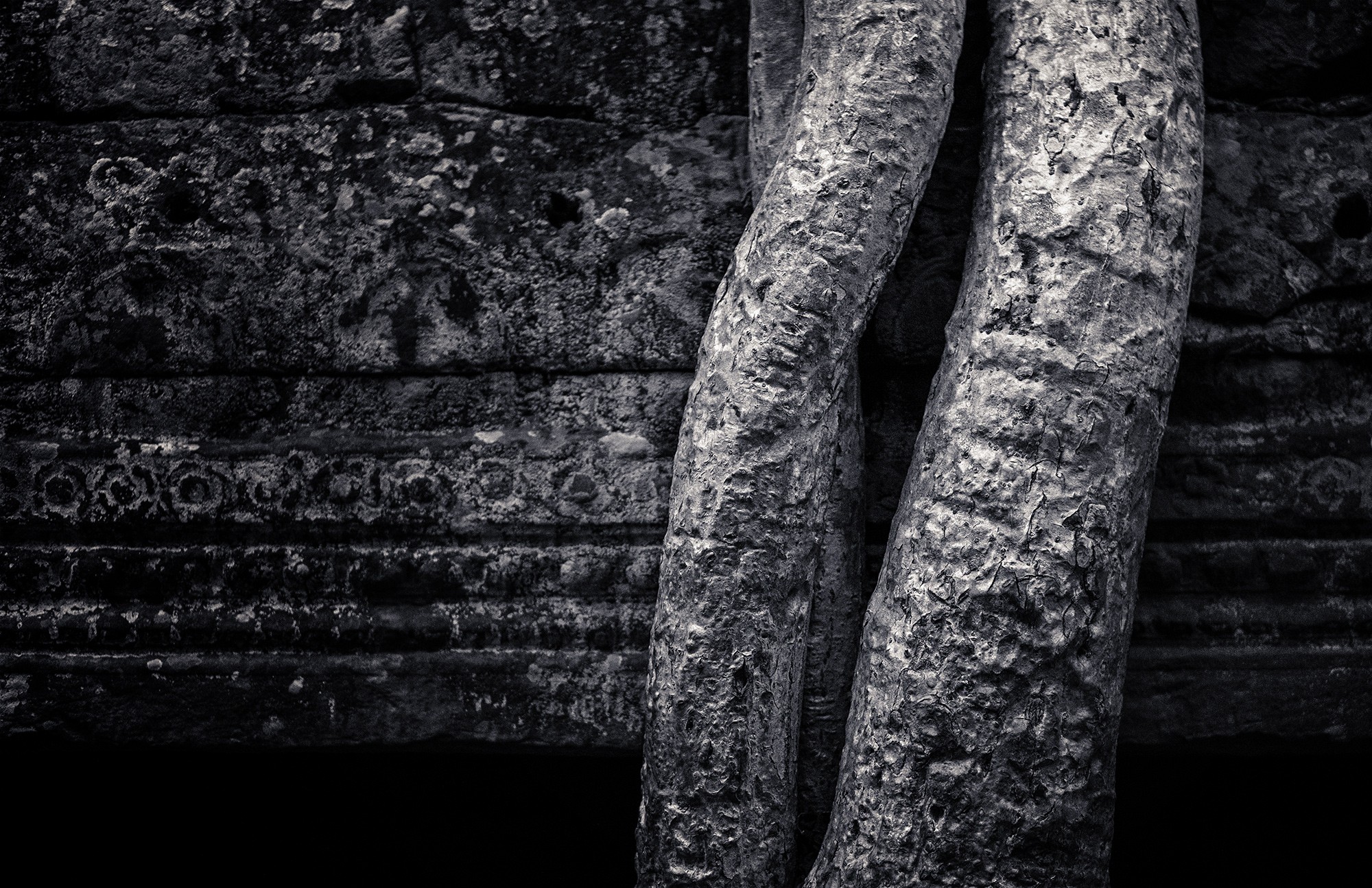 taprohm67b