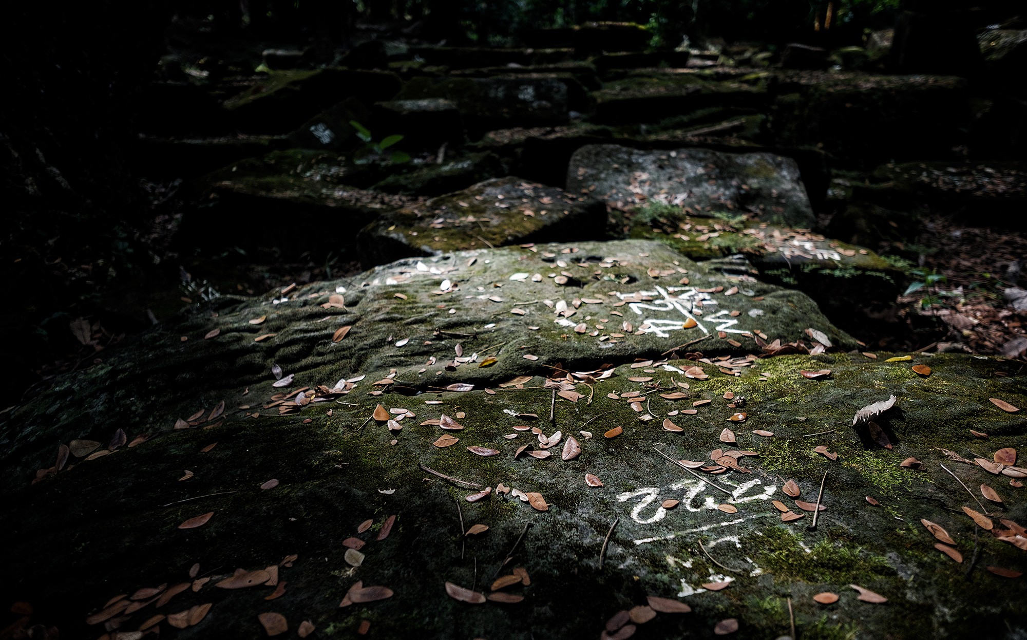taprohm68b