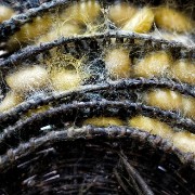silk06b