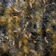 silk08b