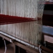 silk24b
