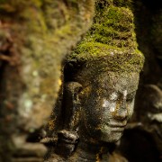 taprohm01b