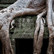 taprohm03b