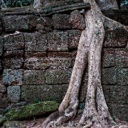 taprohm04b