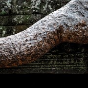 taprohm07b
