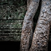 taprohm09b