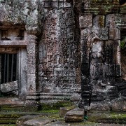 taprohm11b