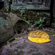taprohm12b