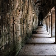 taprohm14b
