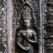 taprohm15b