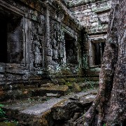 taprohm19b