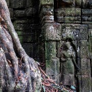 taprohm21b
