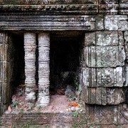 taprohm22b