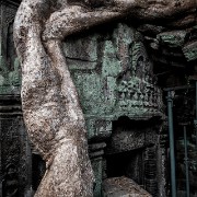 taprohm24b