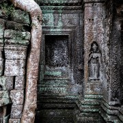 taprohm25b