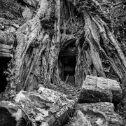 taprohm26b