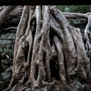 taprohm28b